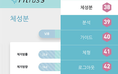 피트러스 S, Manual