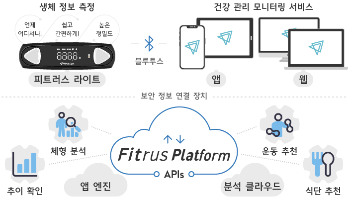 원소프트다임, 디바이스, 피트러스 플러스