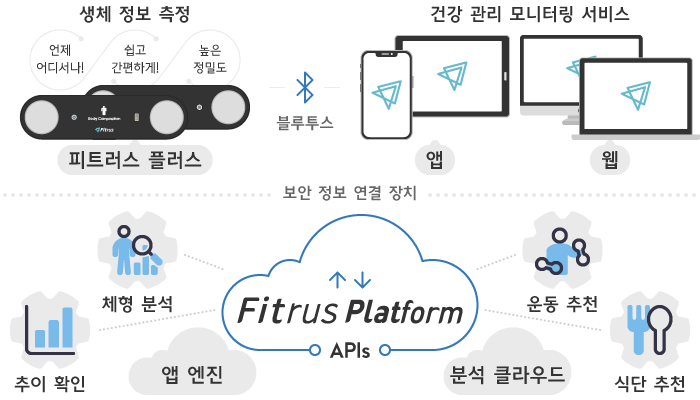 원소프트다임, 디바이스, 피트러스 플러스