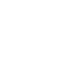 ONESOFTDIGM
